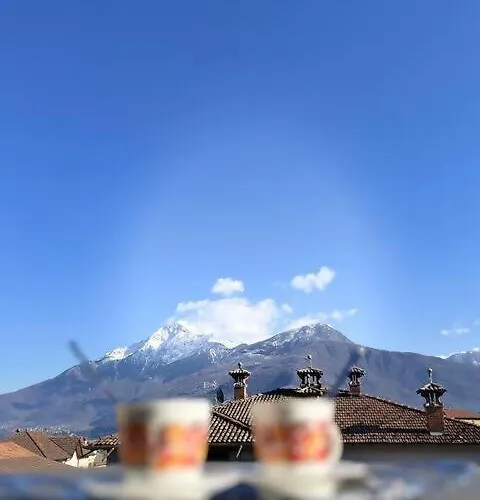 & Nature By Paola *